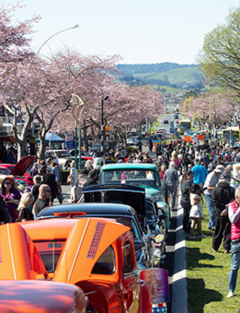 Find Andrea for face painting on the Greerton Cherry Blossom Festival, free community event Tauranga